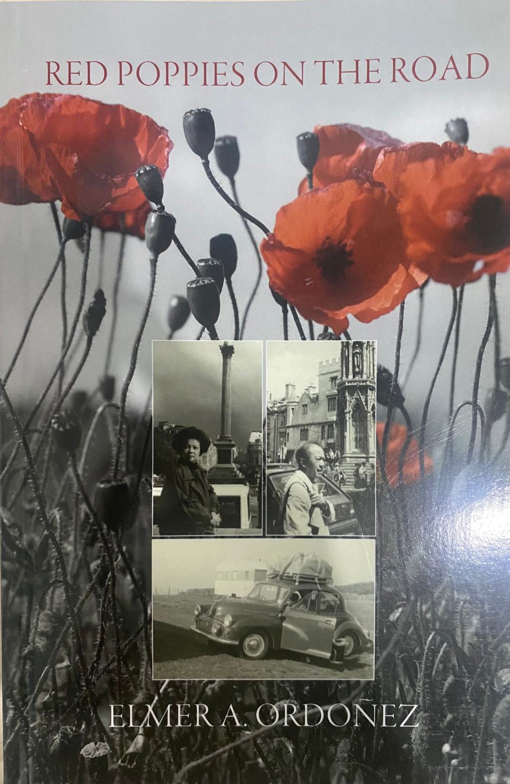 Red Poppies On The&nbsp;Road