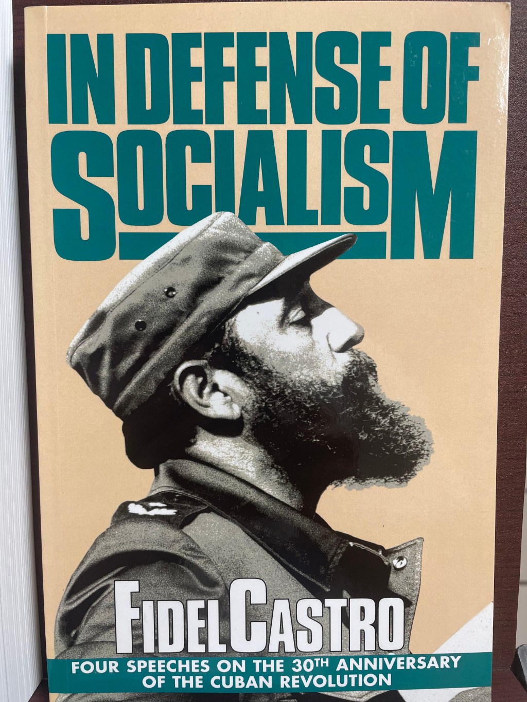 In Defense of&nbsp;Socialism